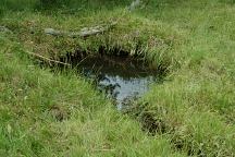 Natural Spring at Mud Creek Campground