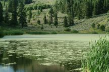 Overton Reservoir