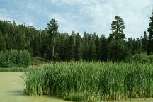 Overton Reservoir