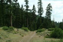 Road at Overton Reservoir