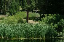 Overton Reservoir Picnic and Camp Area