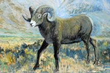 Big Horn Painting