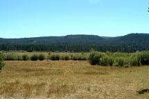 Viewed from Lee Thomas Campground