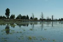 Vee Lake