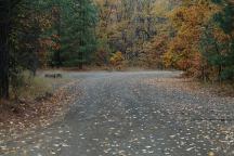 Stinson Flat Campground