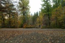 Stinson Flat Campground