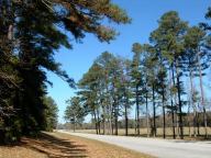 Natchez Trace Parkway