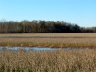 Natchez Trace Parkway