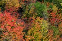 Colors painted on the landscape