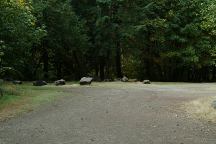 Old Miner Meadow