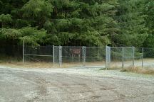 Old Miner Meadow