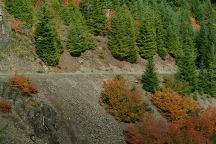 Autumn Colors on Road 2202