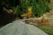 Autumn Colors on Road 2202