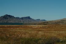 Bill Williams River National Wildlife Refuge