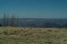 Buckhorn Observation Point