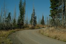 Saddle Creek Campground