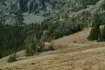 Road to Seven Devils Campground