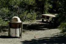 Hickison Petroglyphs Campground