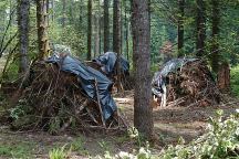 Slash pile covered with plastic