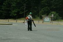 Cleaning dust in the National Forest