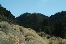 Rest Area on Highway 722