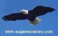 http://www.eugenecarsey.com