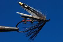 Tarzana Steelhead Fly