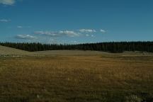 Crooked Meadow
