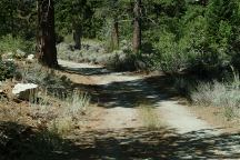 Primitive campsite near Horse Stables