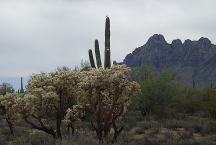 View from Dispersed Campsite