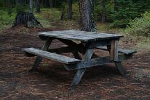 Dispersed campsite on Lake Creek