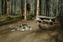 Dispersed Campsite