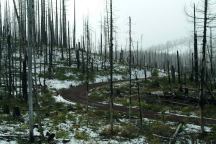 Snow on the ground at Round Lake