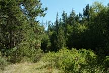 Jackson Creek Campground
