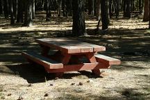 Picnic Table