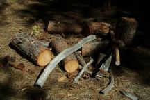 Firewood at Jackson Creek Campground