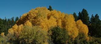 Klamath NWR