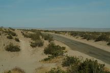 Jawbone Road and Camp Area