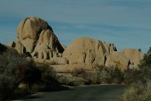 Jumbo Rocks Campground