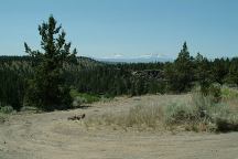 Lower Bridge Road (Near milepost 5)