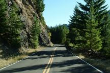 Road 1993 near Cougar Dam