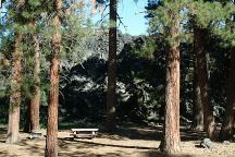 Lava Flow Campground