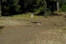 Campsite at Lost Lake