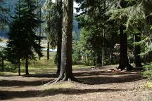 Campsite at Lost Lake