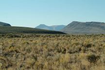 Alvord Desert