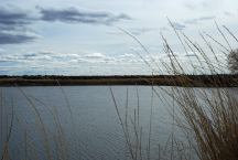 Burns Gravel Pond