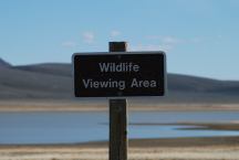 Wildlife Viewing Area 