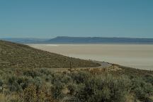 Alvord Desert