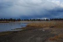 Mayfield Pond