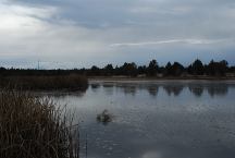 Mayfield Pond
